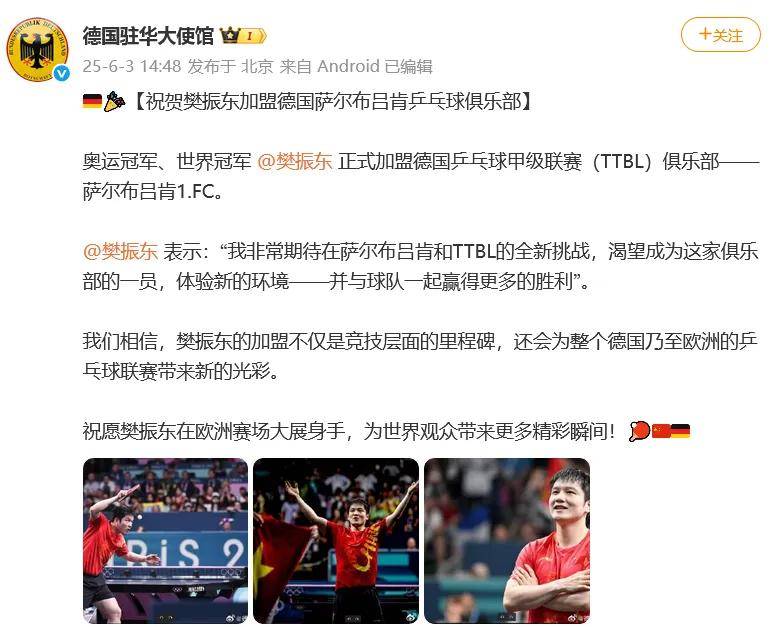 包含谁能阻挡？樊振东再度创下足球历史新纪录的词条